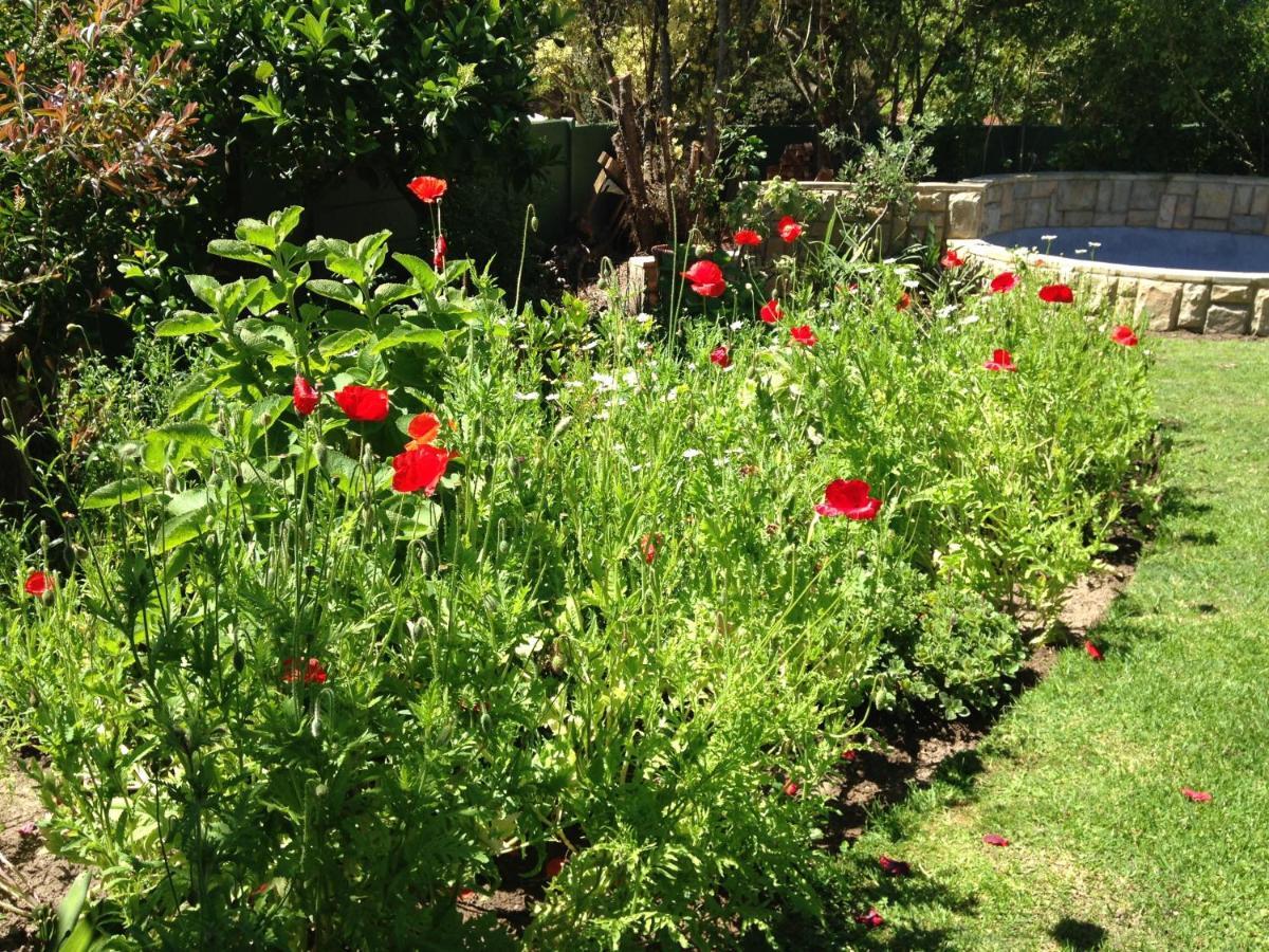 מלון ג'ורג' Edenwood House מראה חיצוני תמונה